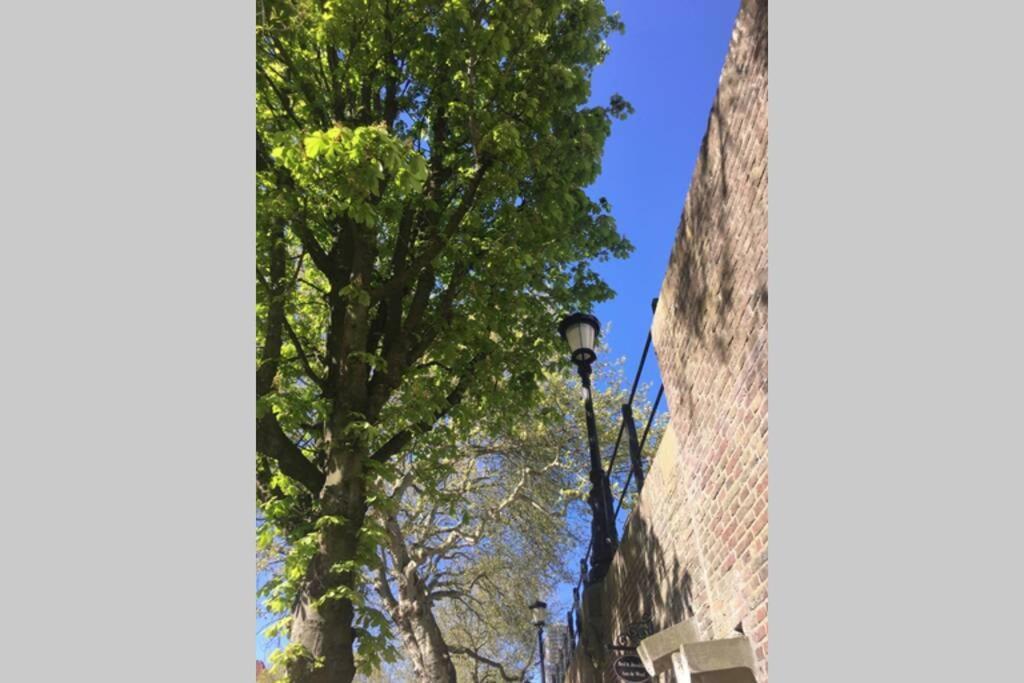 Werfkelder Aan De Oudegracht Apartment Utrecht Exterior foto